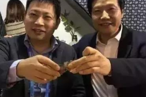爱就乐互联，稳定性与内容质量并重的未来互联网趋势