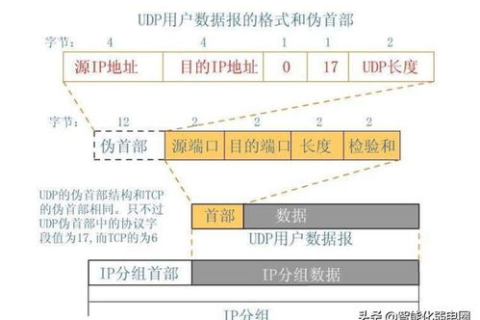 干货分享，域名与SEO的关系，你了解多少？