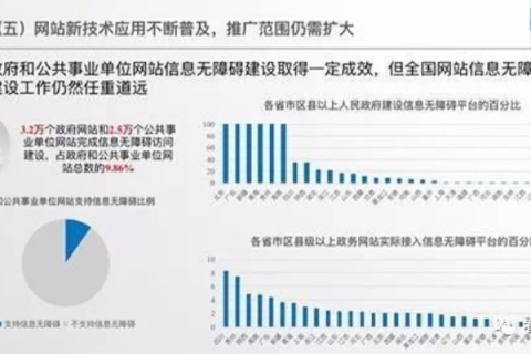 中国互联网的稳定性，现状、挑战与未来展望