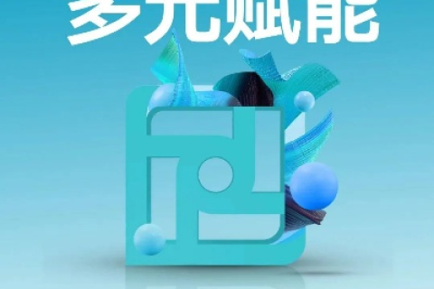 云志网络，稳健前行，铸就信任基石