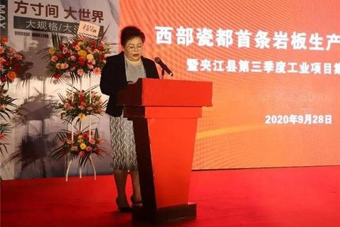 东方数据稳定性，解析其现状、挑战及未来趋势