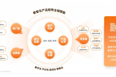 探索366网络科技公司，稳定性、创新力与未来展望的综合评估