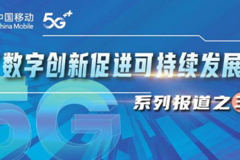 河北网跃科技，在数字浪潮中稳健前行