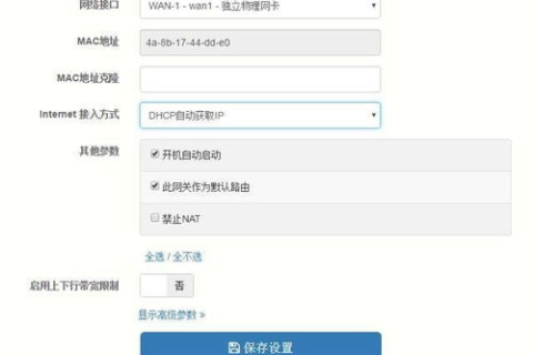 静态IP设置全解析，注意事项、域名代理设置指南