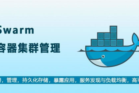 如何选择最佳域名，为我的新网站及未来项目奠定坚实基础