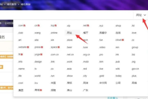 网址域名后缀，解码互联网地址的语言