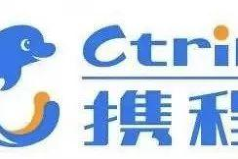 我的中文域名为什么在访问之后就变成了英文的