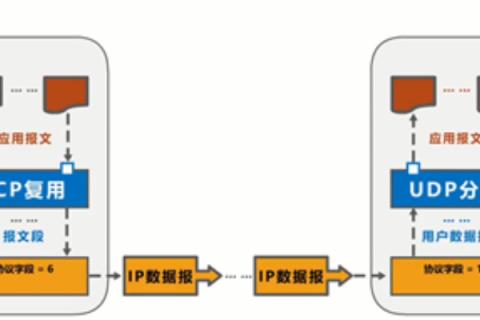 域名在TCP/IP协议的应用层，解析与实现网络的关键