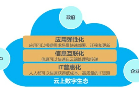 九网互联评测，深度剖析网络互联新生态的全面测评