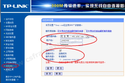 路由器是否支持动态域名，影响、选择及配置指南
