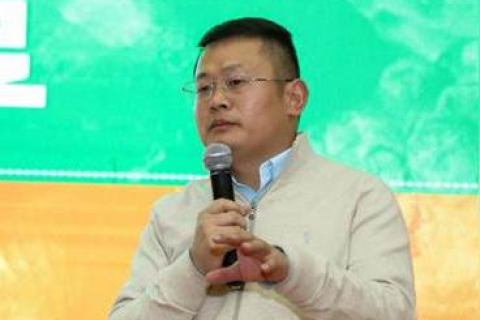 网站域名转向，将现有网站无缝迁移至论坛的全面指南