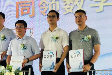 解锁财富之门，通过Google广告联盟打造顶级域名的盈利之道