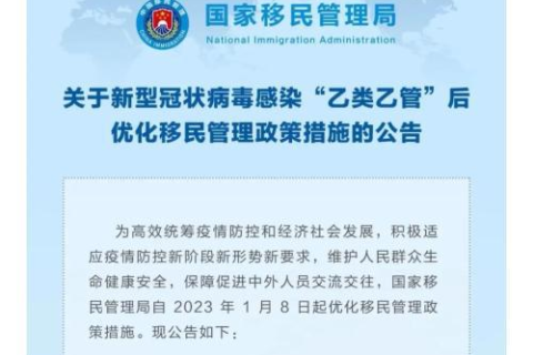 公司双域名网站内容一致性的优化策略，提升用户体验与避免重复惩罚