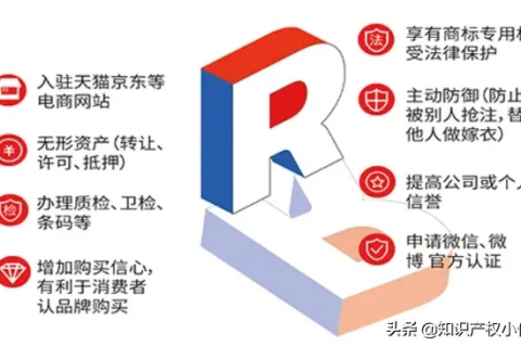 商标域名注册费用全解析，从基础到进阶的指南