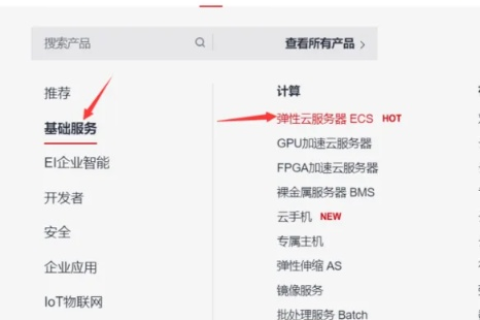 如何将网站部署到服务器上，从域名到虚拟主机的全面指南