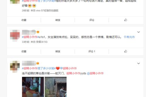中国意网评测，语言与文化的桥梁