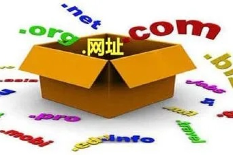 中文域名的优势，在数字化时代中的独特价值