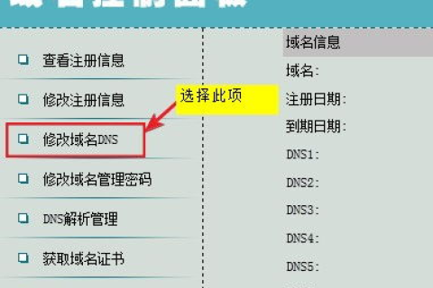 域名提示错误，解锁数字时代网络迷思的钥匙