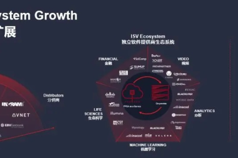深度解析龙心数据评测，揭示高效数据处理的核心秘密
