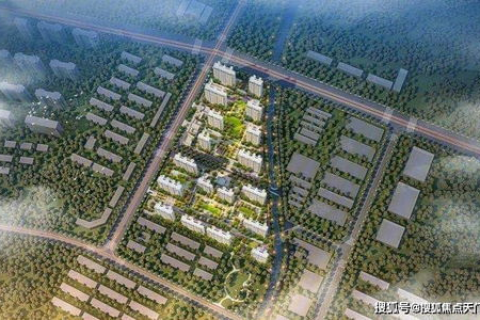 速腾网络评测，深度解析QoS优化，提升用户网络资源体验
