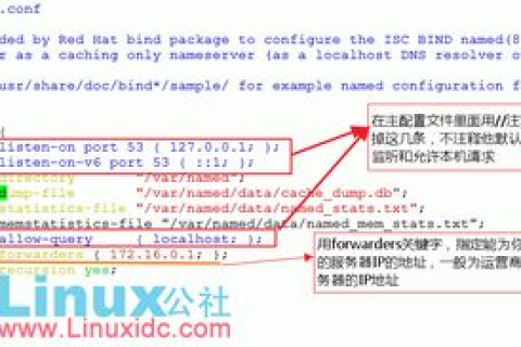 我新建一个DNS服务器，如何配置DNS服务器以实现不同线路域名解析
