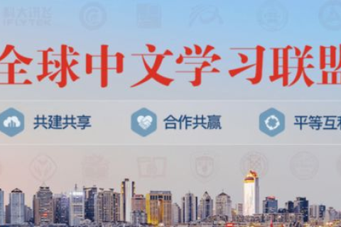 评测飞网中国的技术优势与市场前景，揭秘其引领未来的力量！
