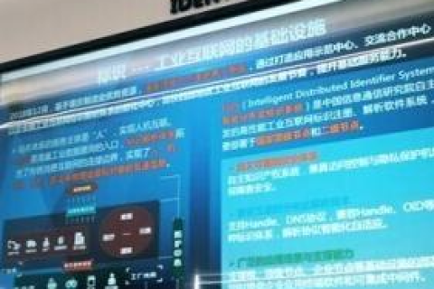 目前全球有几个虚拟根域名服务器