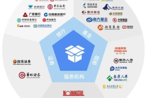 鼎恒网络评测，深挖互联网巨头的业务交汇与服务价值