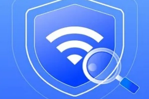 深度评测，无忧网络，连接你我的质量与速度之桥