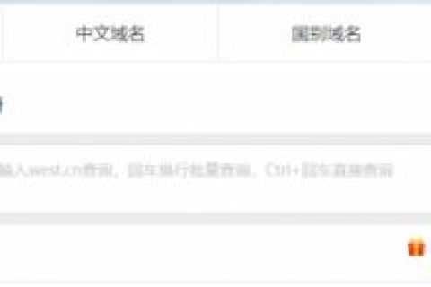 选了随便一间IDC注册了中国频道的域名，那么这个域名解析所用的DNS你了解多少？