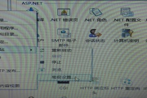 买了域名解析到自己的电脑IP并设好了IIS，就可以访问自己的电脑了吗？