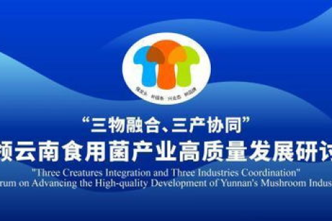 锦联天下评测，探索全球优选品质生活，引领未来居住潮流