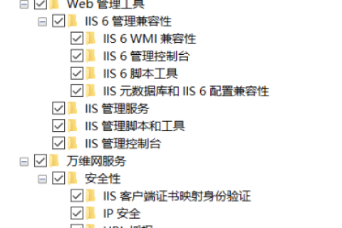IIS60域名解析与域名绑定，服务器配置详解
