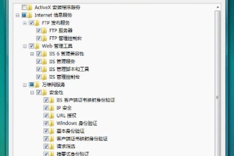 花生壳注册域名IIS配置为什么测试禁止访问
