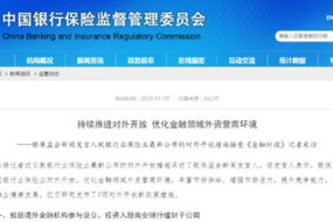 海外华人初涉域名投资，探索国际域名管理与安全