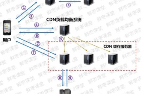 全面剖析鼎点网络评测，优化网络性能的真实指南