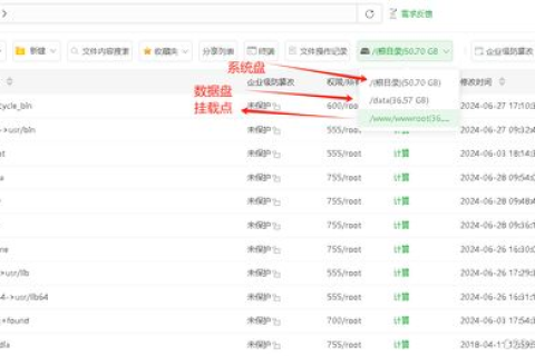 阿里云服务器如何挂载数据盘