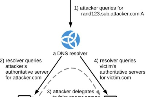 DNS009，深入评测与解析—提升网络体验的秘密武器