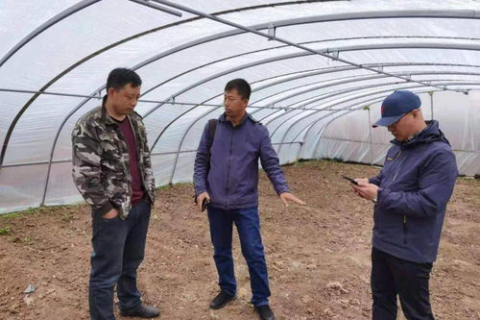 独家揭秘，雪碧达网络评测—带您领略网络科技新风尚