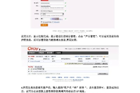 花生壳IP地址如何绑定域名，详细步骤与注意事项