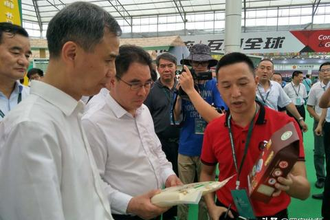 聚龙科技评测，以创新技术引领行业变革，重塑未来科技版图