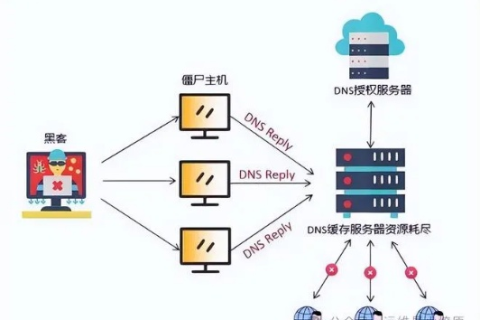 您的域名未指向我们的NS服务器，影响、解决方案与重要性