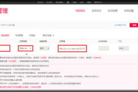 在新网注册的域名做URL转发为什么转不过去？