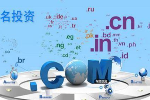 中国物资储运总公司，面对中文域名被抢注的困境与应对策略