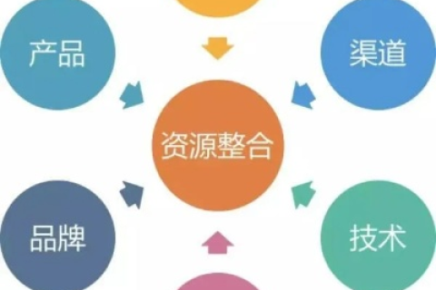 盛圣网络评测，深度解析互联网时代的评价与选择