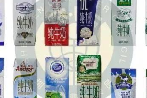 晨光网络评测，多维度解析现代网络应用的性能与趋势