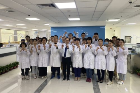 无法解释的域名，探索数字时代的神秘路标