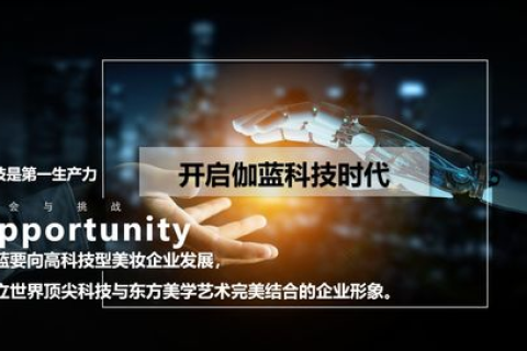 福建飞创网络评测，创新科技引领网络新时代