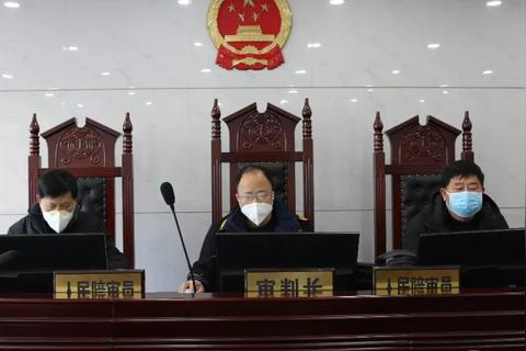 网林网络评测，探寻高效与稳定的互联网解决方案