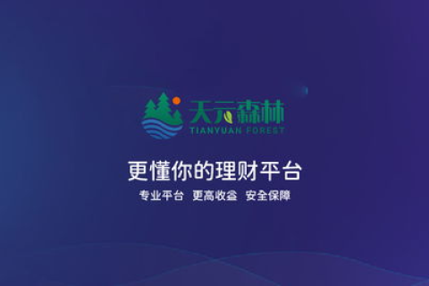 测评综述，鹏诚互联—高效、安全、专业的互联网服务体验